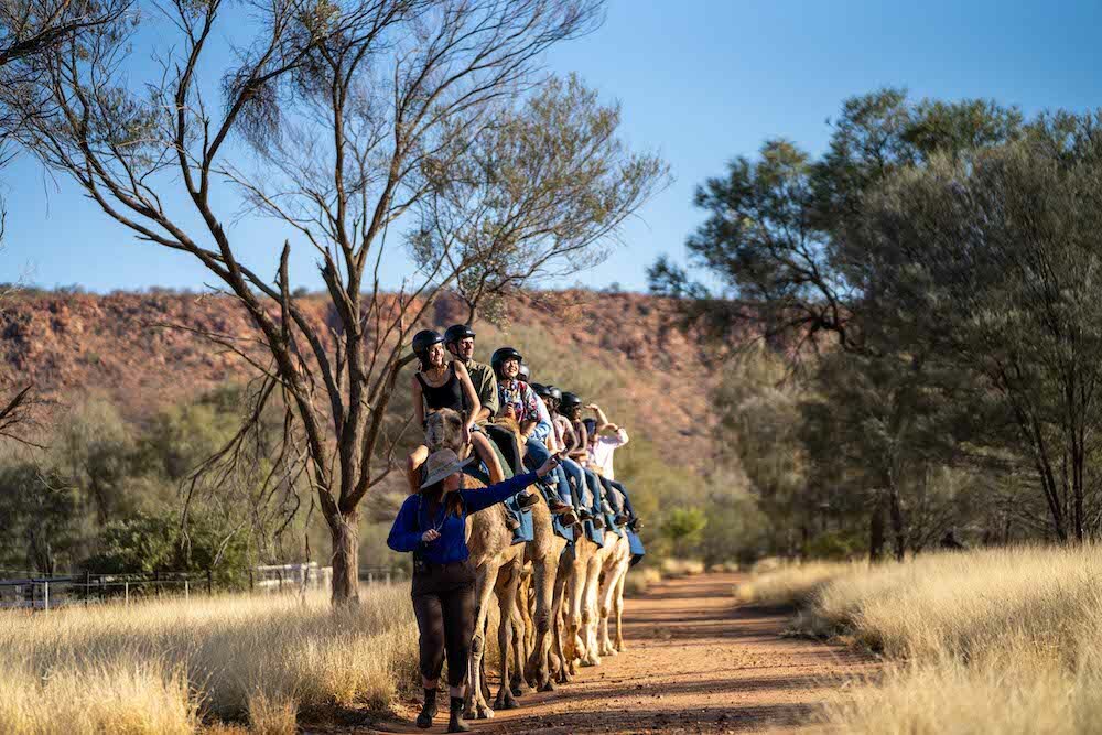 (no street name provided), Alice Springs NT 0870 Allhomes