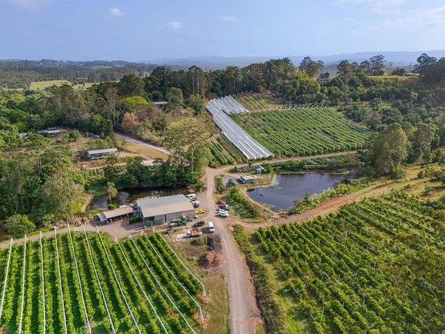 43 Pringle Road, QLD 4560