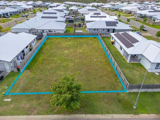 20 Pepperbush Circuit, QLD 4818