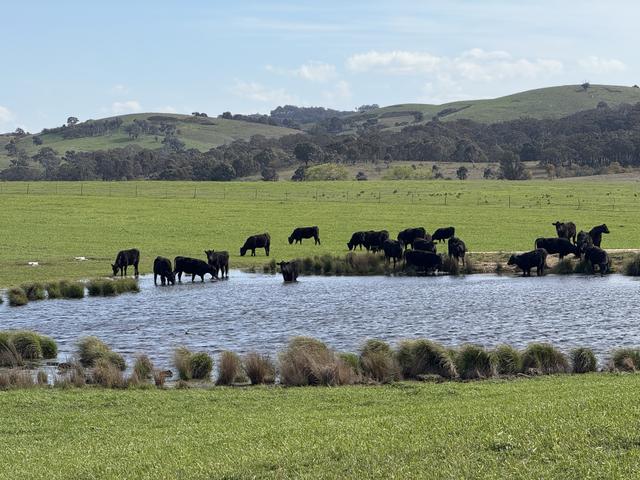 569 & 640 Blakney Creek North Road, NSW 2581