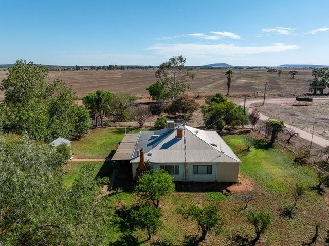 1145 Boundary Road, NSW 2705