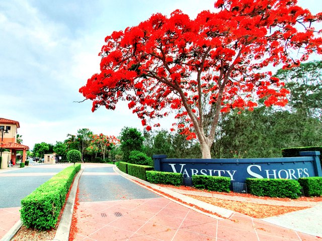 2/4 University Drive, QLD 4226