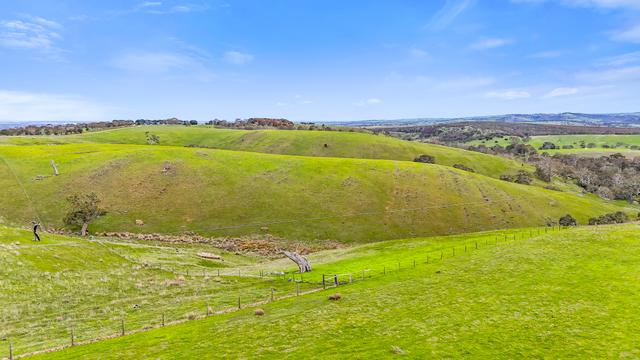 Lot 101 Wattle Flat Road, SA 5157