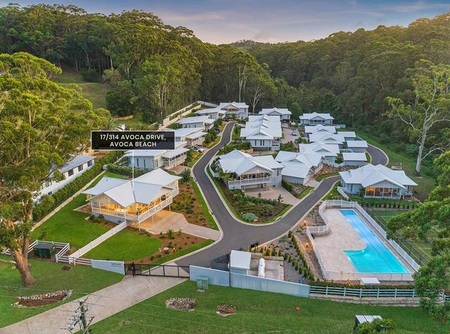 17/314 Avoca Drive, NSW 2251
