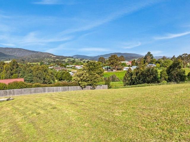 17 Dorgan Court, TAS 7112