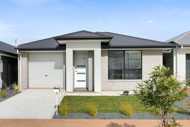 14 Steve Street, SA 5115