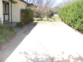Front yard (2007-10-04)
