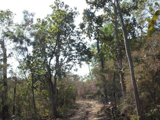 415 Reed Beds Road, NT 0838