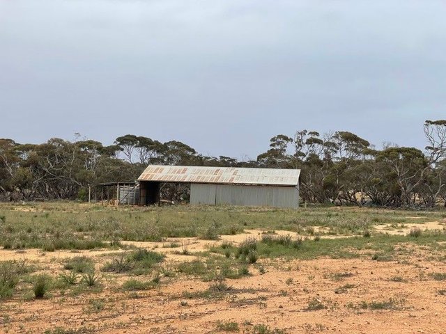 2440 Black Hill Road, SA 5353