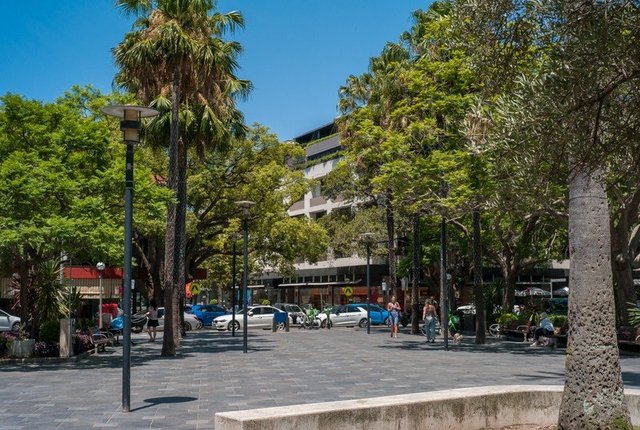 3A/2-22 Knox  Street, NSW 2028