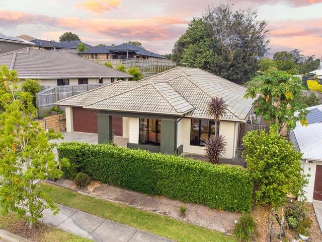 19 Clarence Avenue, QLD 4300
