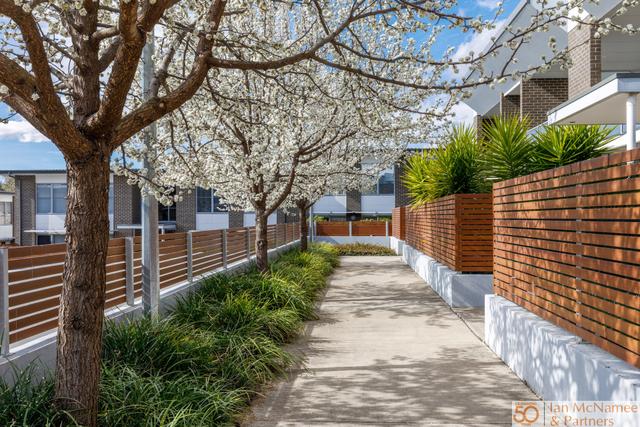 55/47-49 Mowatt Street, NSW 2620