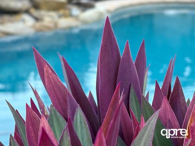 2 Cassia Court, QLD 4221