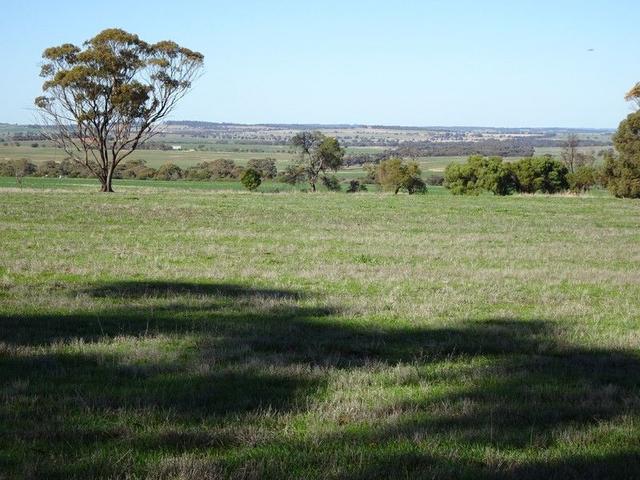 Shaddick Road, WA 6308