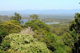 View from deck