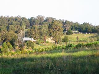 Views of homes