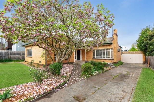 67 Wills Street, VIC 3101