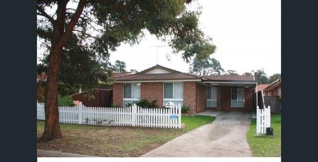 12 Blueberry Drive, NSW 2760