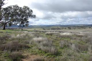 View of land