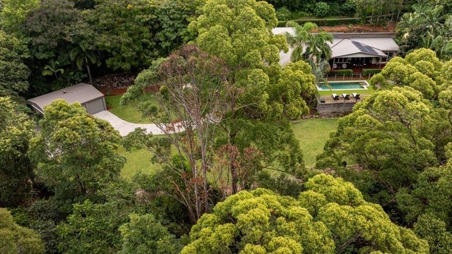 8 Mango Court, QLD 4562