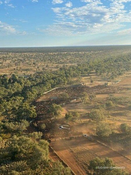 * Murray Downs Station, NT 0870