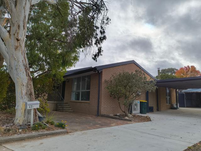 43 Canopus Crescent, ACT 2617