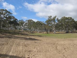 Cleared land