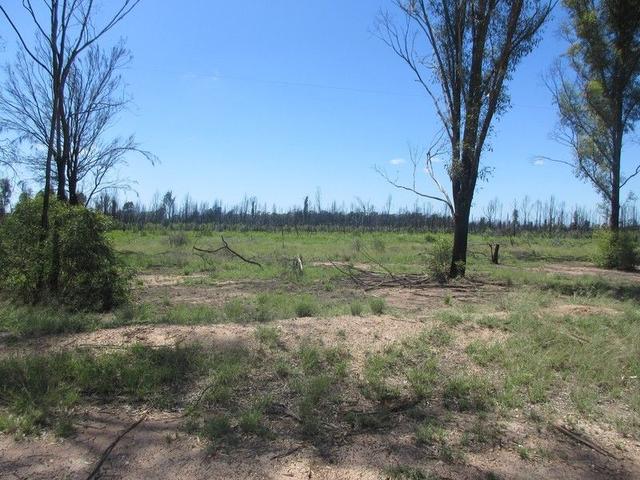 Lot 163 Tregathlyn Road, QLD 4421