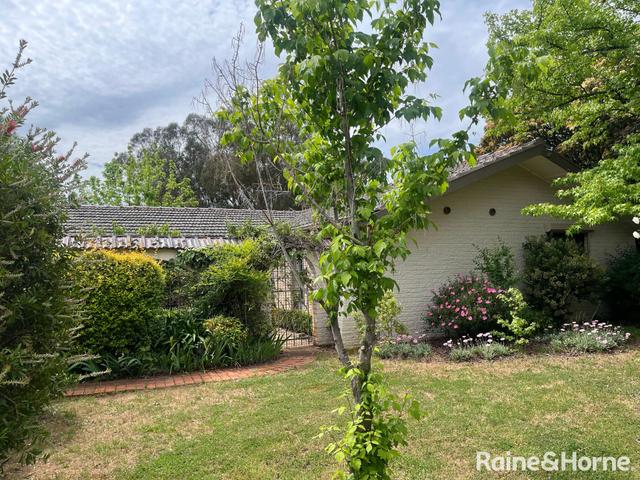 295 Back Creek Road, NSW 2594