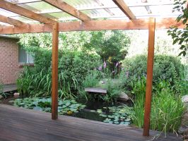 Decking and Pond