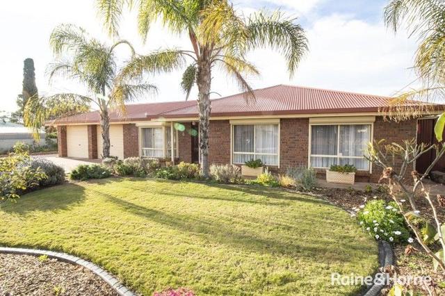 8 Holder Avenue, SA 5700