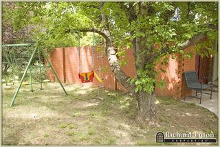 Frontyard (2010-03-04)