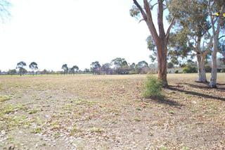 Park/ Playing Fields (2008-06-30)