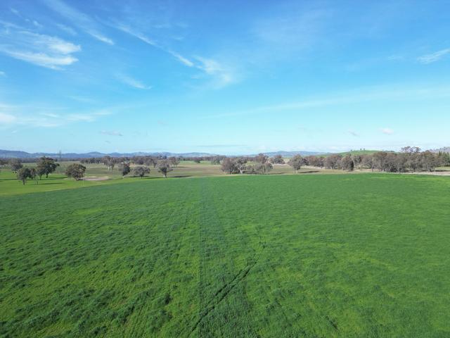 'Willowbank' Urana Road, NSW 2642