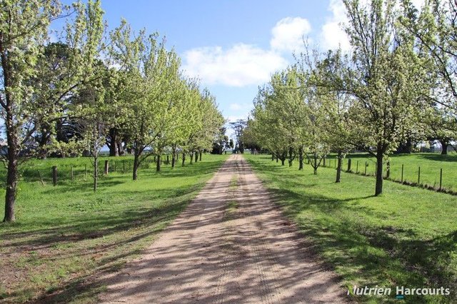 524 Remembrance Drive, VIC 3352