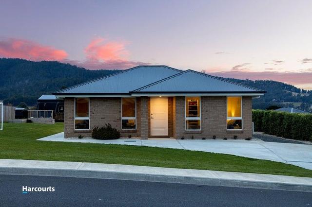 3 Dorgan Court, TAS 7112