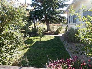 Frontyard (2015-02-07)