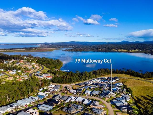 79 Mulloway Circuit, NSW 2548