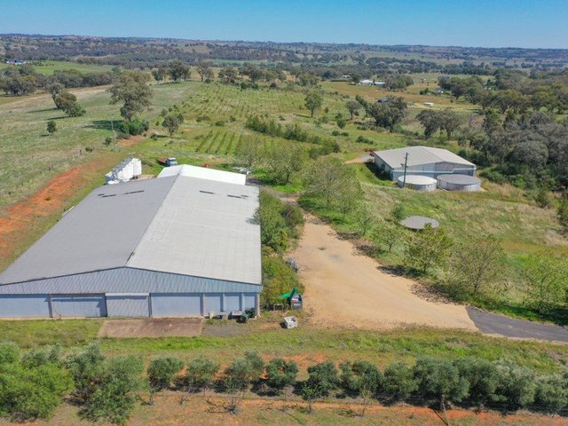 285 Henry Lawson Way, NSW 2594