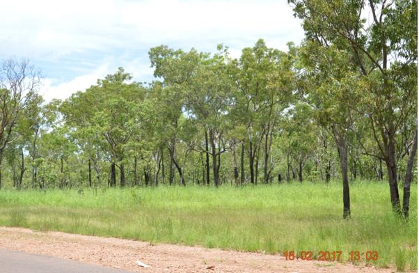 135 Daly River Rd, NT 0846