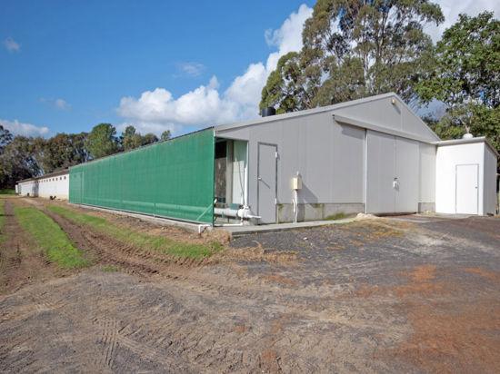 1692 Wisemans Ferry Road, NSW 2250