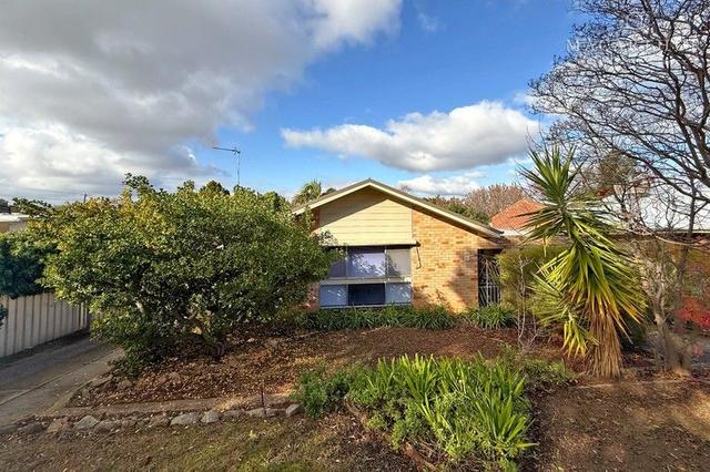 21 Wilks Avenue, NSW 2650
