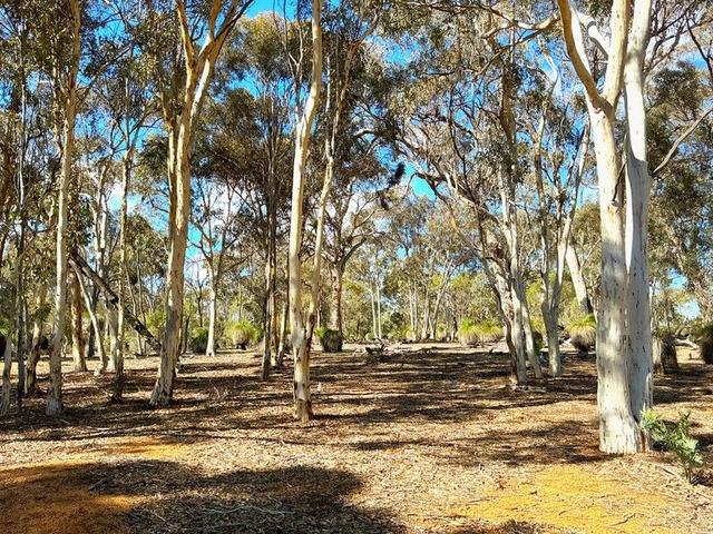 Lot 77/null Coondle West Road, Coondle, WA 6566