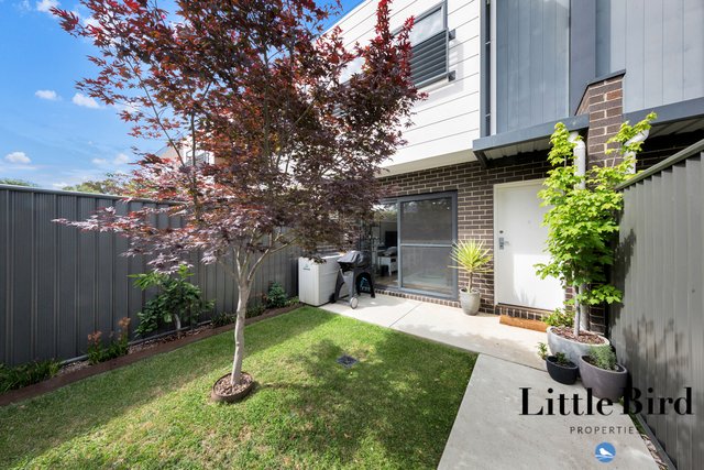 91 Bettong Avenue, ACT 2914