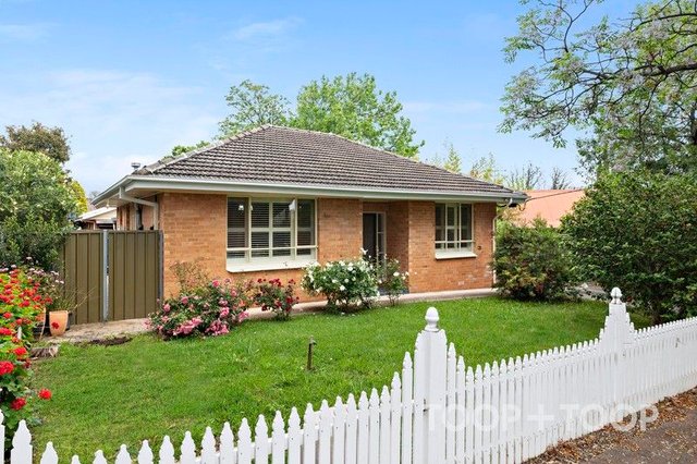 1/28 Cator Street, SA 5065