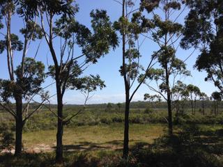 Backing Nature Reserve