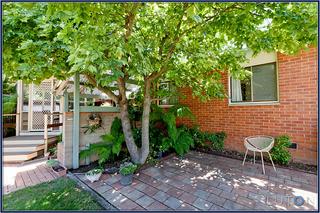 Rear Yard (2012-01-24)