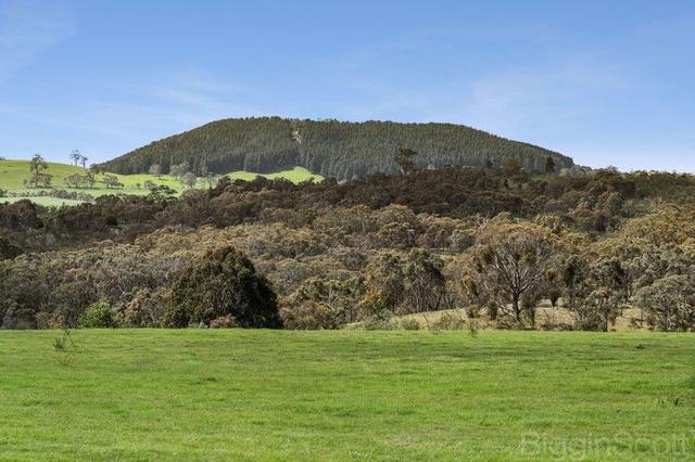 224 Hepburn-Newstead Road, VIC 3461