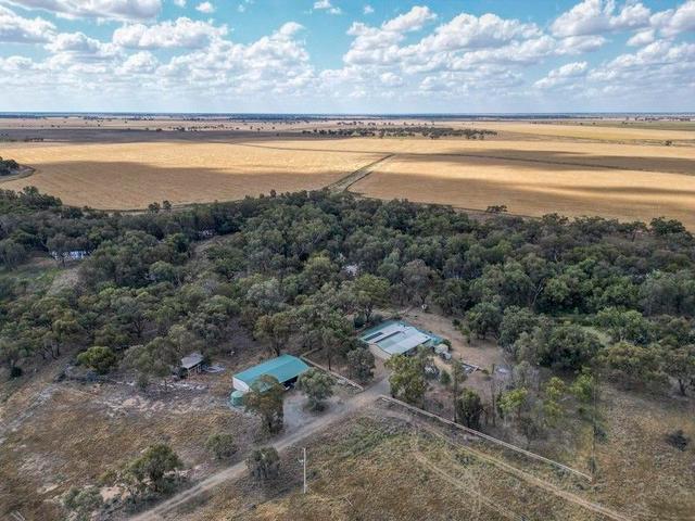 Merryanbone Road, NSW 2825