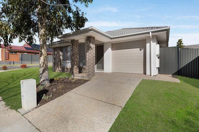 6 Burford Street, SA 5118